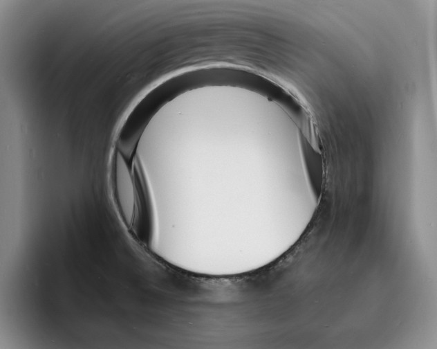 X0000096391524200802211131