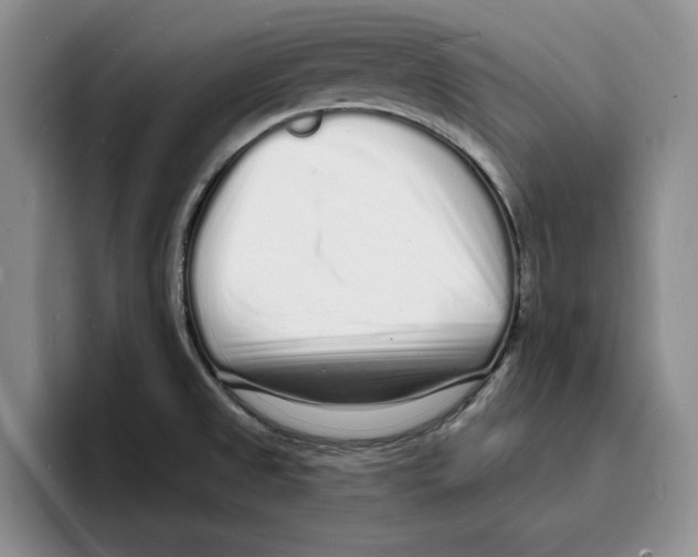 X0000096391525200802211131