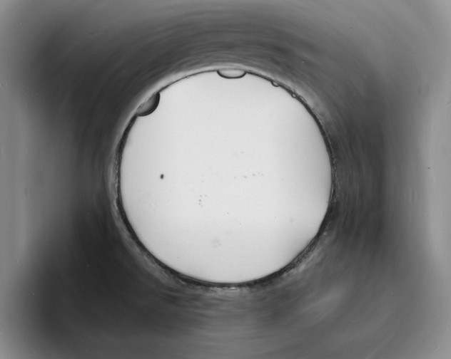 X0000096391526200802211131