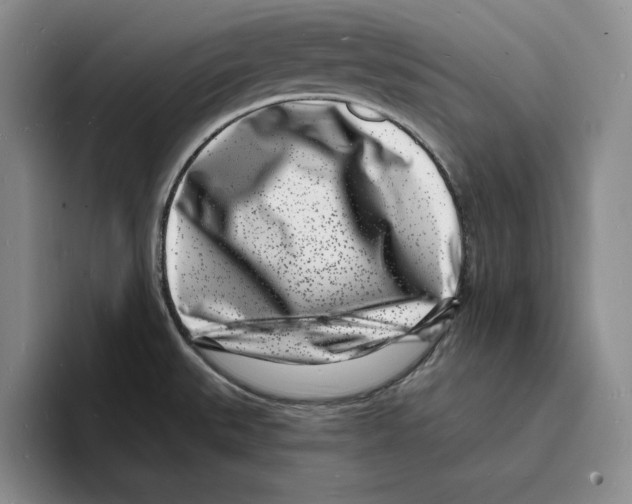 X0000096391527200802211131