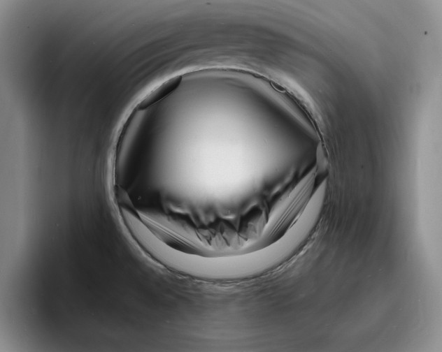 X0000096391528200802211131