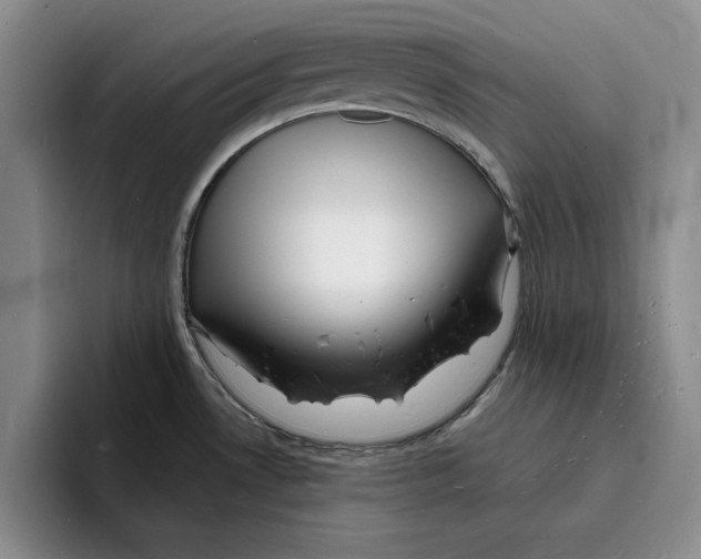 X0000096391530200802211131