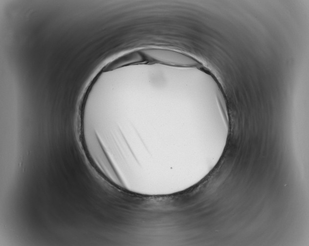 X0000096391531200802211131