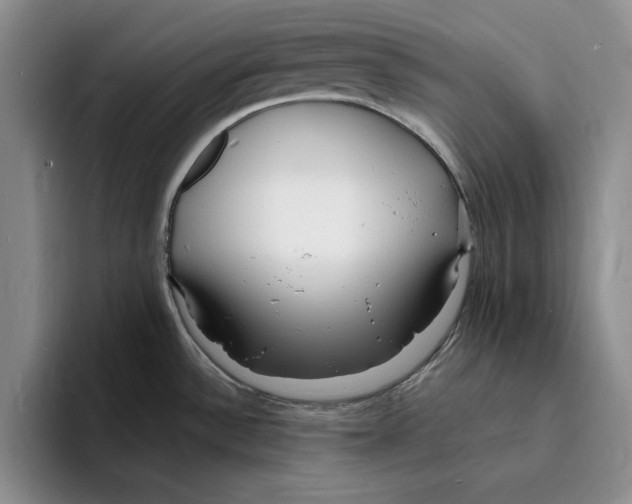 X0000096391532200802211131