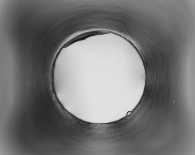 X0000096391534200802211131