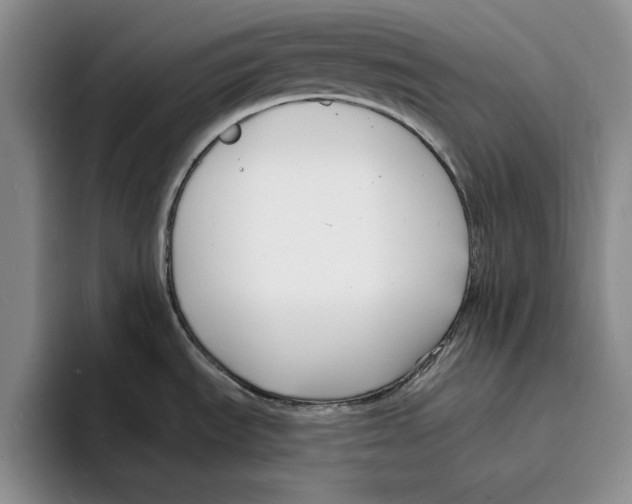 X0000096391535200802211131
