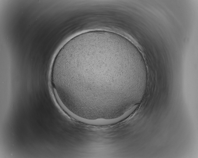 X0000096391536200802211131