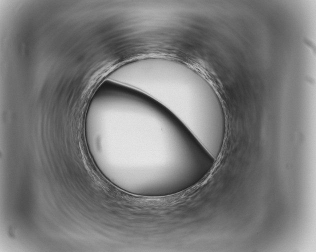 X0000096400001200801241014