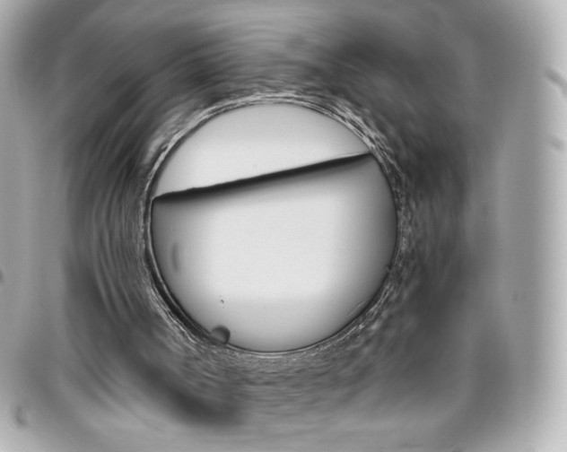 X0000096400002200801241014