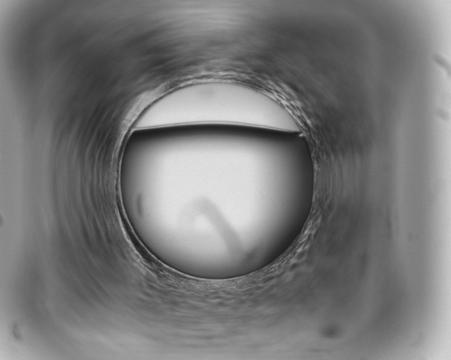 X0000096400003200801241014