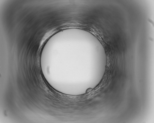 X0000096400004200801241013