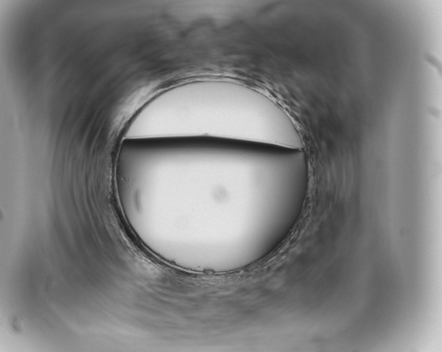 X0000096400005200801241013