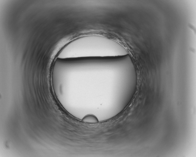 X0000096400006200801241013