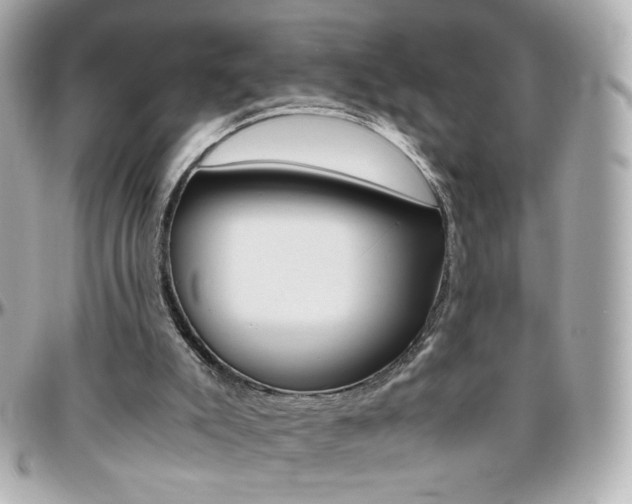 X0000096400007200801241013