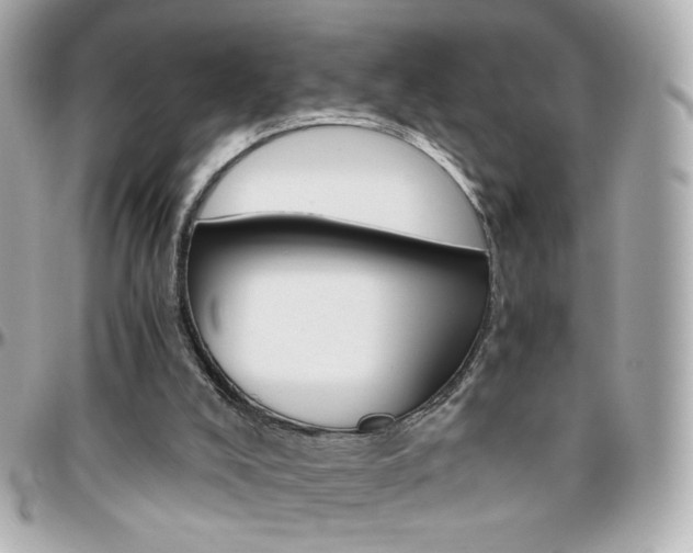 X0000096400008200801241013