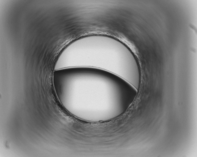 X0000096400009200801241013