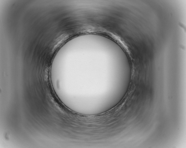 X0000096400010200801241013