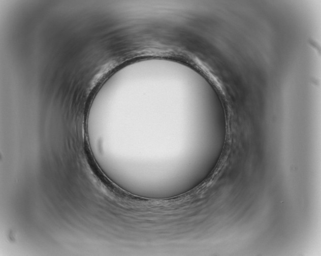 X0000096400011200801241013