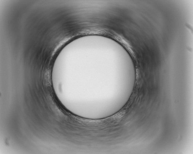 X0000096400012200801241013