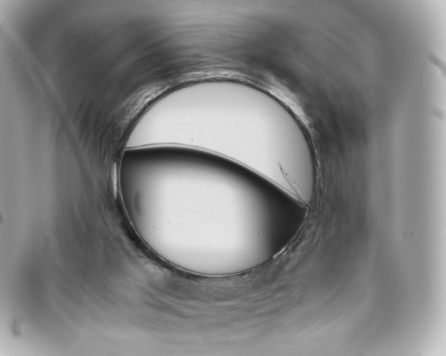 X0000096400013200801241013