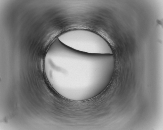 X0000096400014200801241013