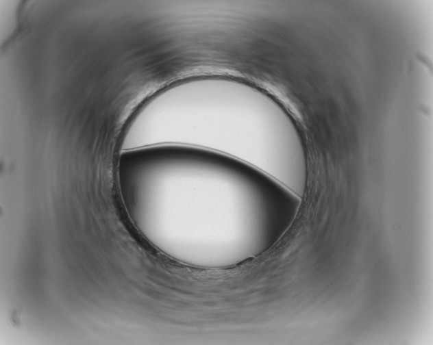 X0000096400015200801241013