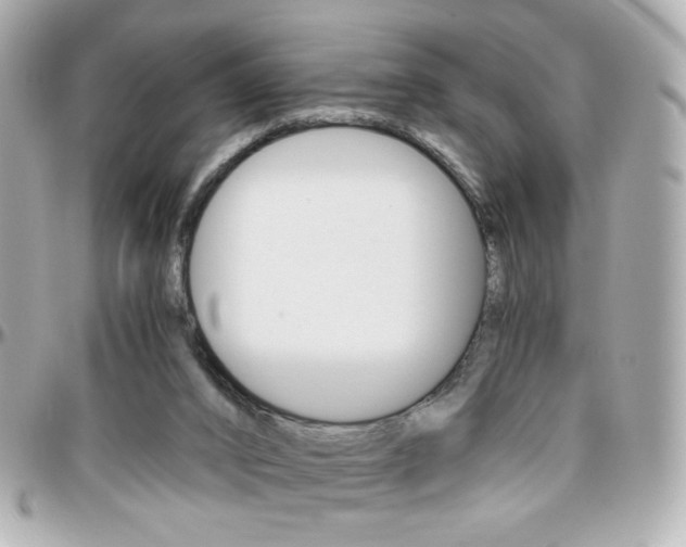 X0000096400016200801241013