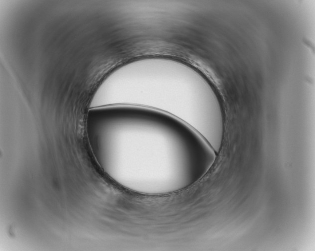 X0000096400017200801241013