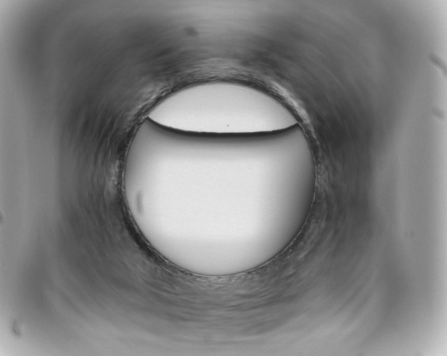 X0000096400018200801241013