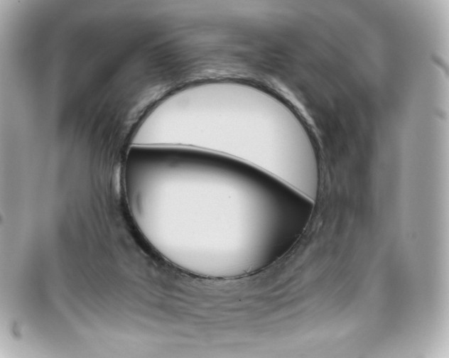 X0000096400019200801241013