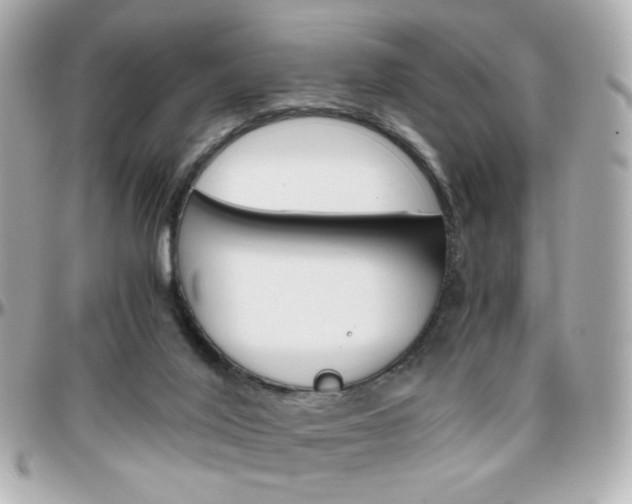 X0000096400020200801241013