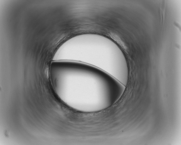 X0000096400021200801241013