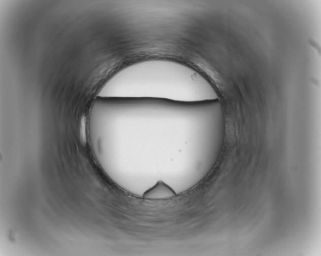 X0000096400022200801241013