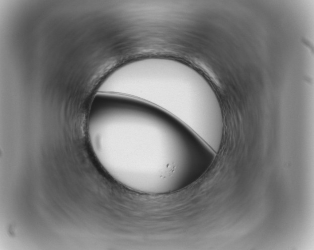 X0000096400023200801241013