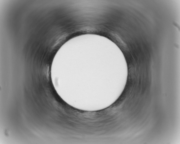 X0000096400024200801241013