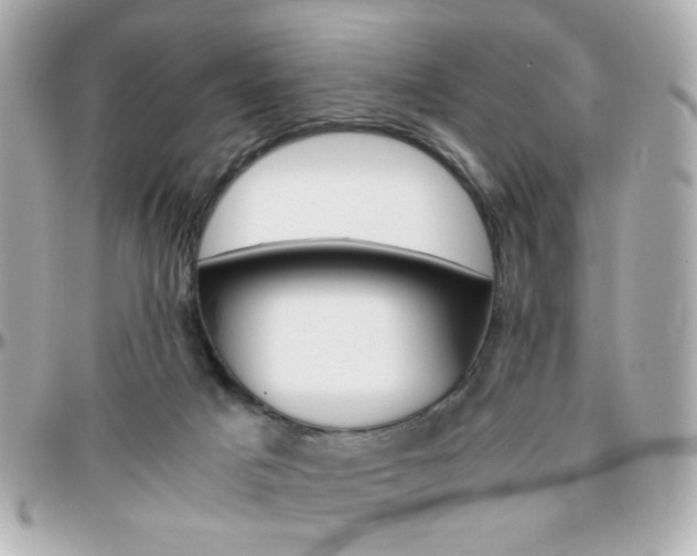 X0000096400025200801241013