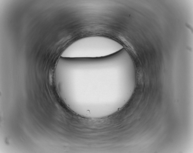 X0000096400026200801241013