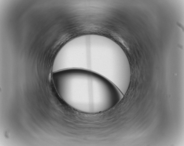 X0000096400027200801241013