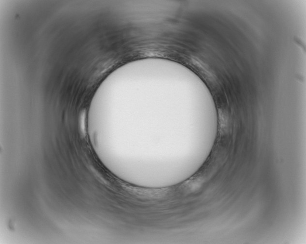 X0000096400028200801241013