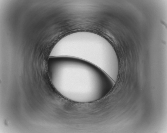 X0000096400029200801241013