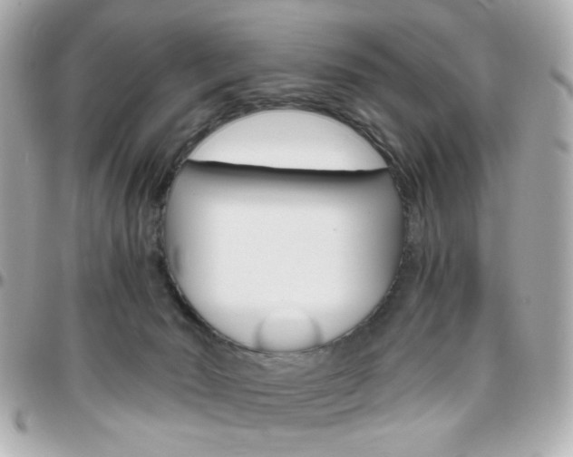 X0000096400030200801241013