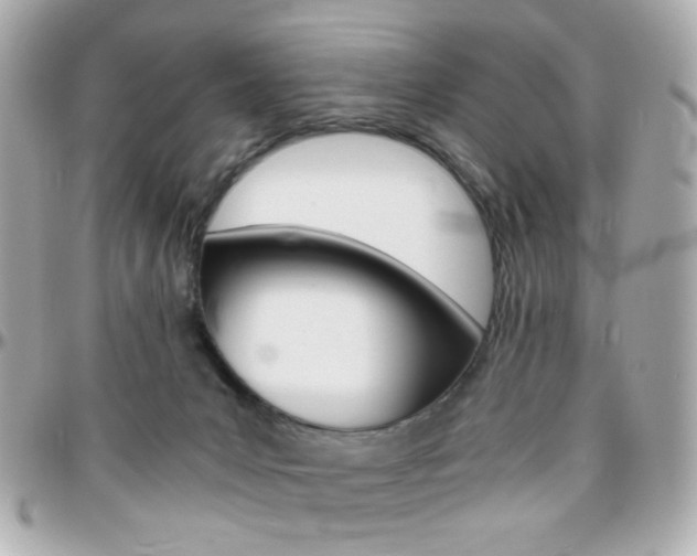 X0000096400031200801241013