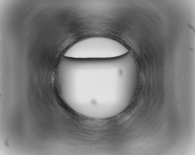 X0000096400032200801241013