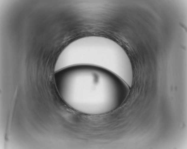 X0000096400033200801241013