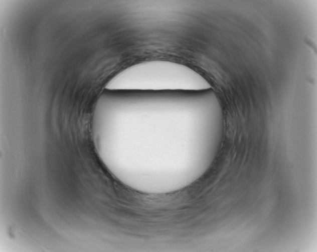 X0000096400034200801241013