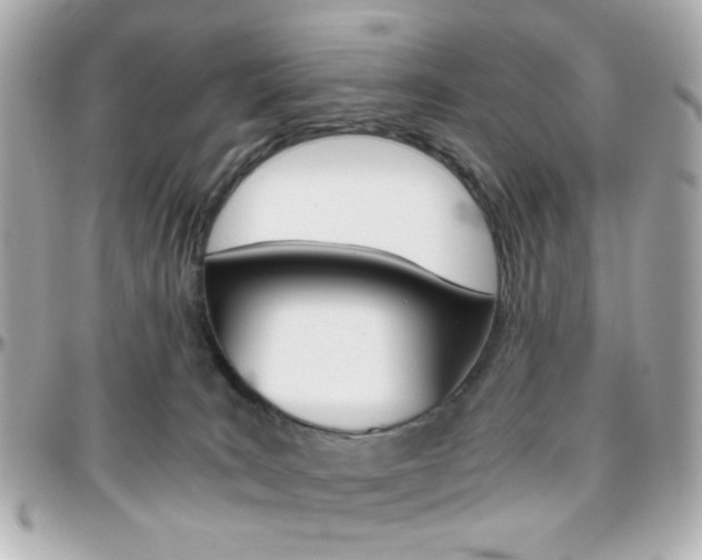 X0000096400035200801241013