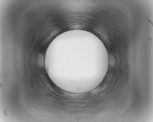 X0000096400036200801241013