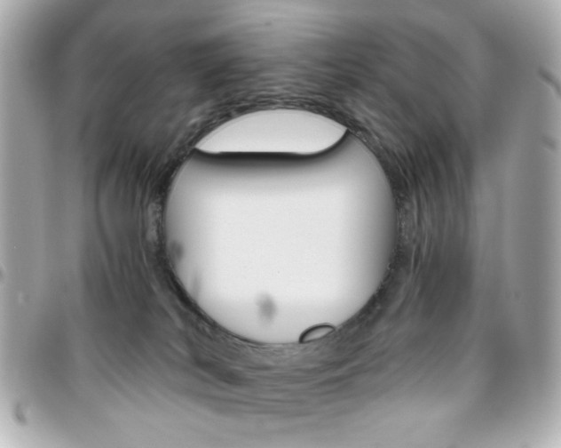 X0000096400038200801241013