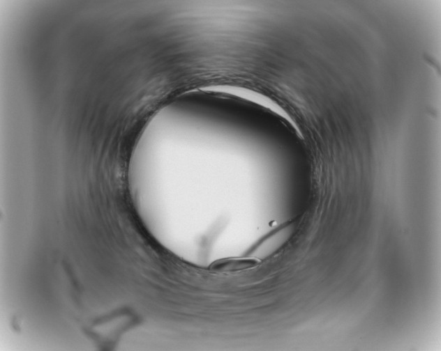 X0000096400039200801241013