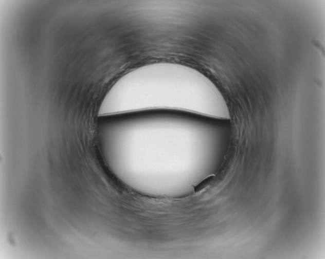 X0000096400040200801241013